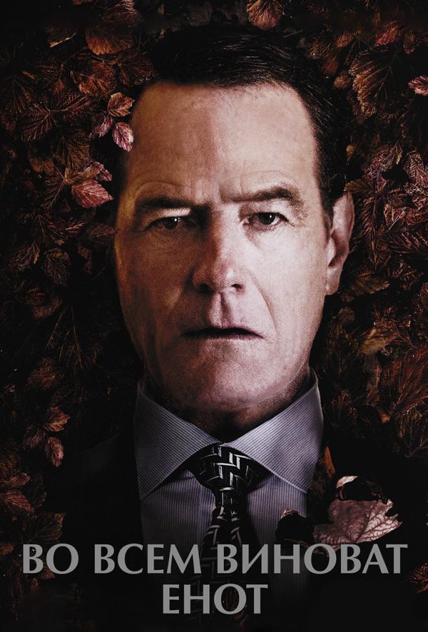 Фильм Во всем виноват енот (2016) смотреть онлайн в качестве FHD